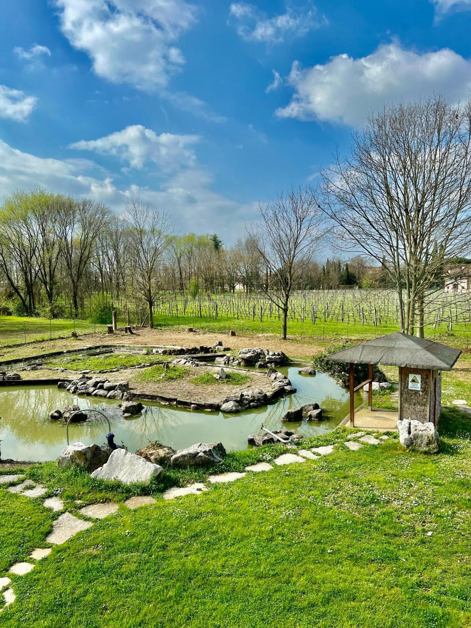 Villa Saten Pavia d'Udine 외부 사진